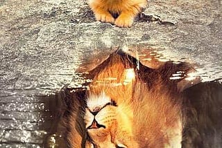 Don’t Support Me!