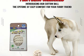 Interactive Cotton Dog Toy