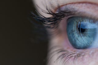 Wie sieht das Leben eigentlich in 2050 aus?