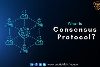 What are different types of Consensus protocol?