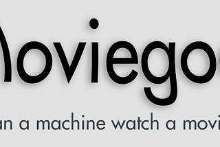 Moviegoer — Next Steps