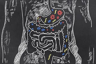 The Bottom Line on Prebiotics