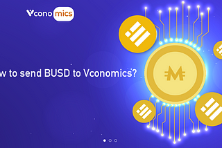 [USER GUIDE] How to send BUSD to Vconomics?