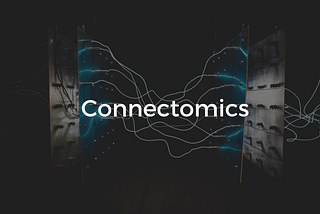 Connectomics: Grasping Biological Highways