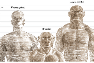 How strong were the Neanderthals and Early Modern Homo Sapiens?