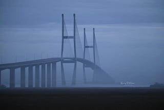 Through the Fog