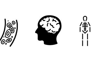 How Cadavers Could Help You Make Better Products