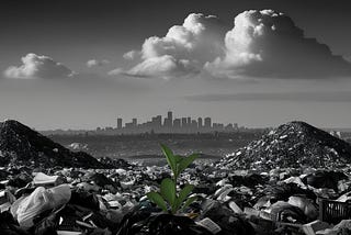 Think Your Portfolio Is Safe? Check Its Financed Emissions First