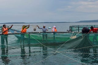 Rio Fish: Creating Economic Opportunities through Aquaculture