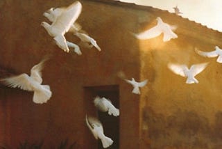 one day, i will grow wings