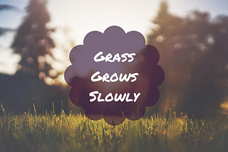 Grass Grows Slowly — Starting a small, grassroots business.