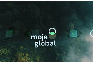 Welcome to Moja Global: Understanding Our Project