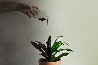 Self Care Through Self Destruction