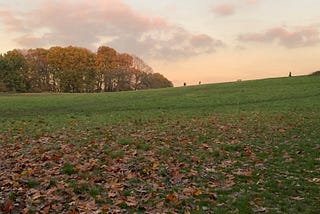 The Poetics Hampstead Heath