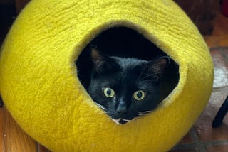 Picture of a black cat inside a yellow cat house with just his sad face sticking out.