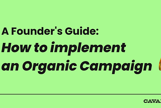 How to set up an Organic Campaign for an Early Stage Startup