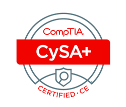 Passing my CompTIA CySa+ with Anki