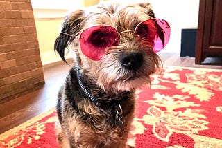 “I like to look at problems through rose-colored glasses. They make red flags look like just flags.” Photo by Catherine La Grange.