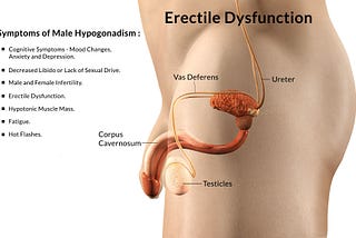 GET RID OF ERECTILE DYSFUNCTION NOW HERBAL TREATMENT OF ERECTILE DYSFUNCTION SOLUTIONS FOR ERECTILE…