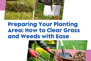 Preparing Your Planting Area: How to Clear Grass and Weeds with Ease