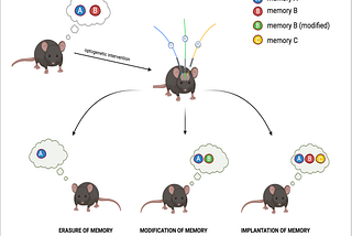 How to Implant, Modify and Erase Memories.