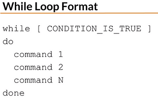 Exploring While Loops: Your Guide to Easy Shell Scripting