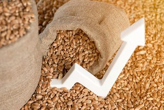 Roman Zenon Dawidowic | Exportation of Grain Seeds