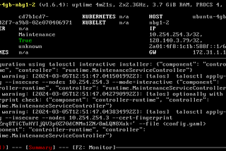 Screenshot of Talos Dashboard after installation