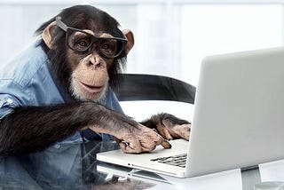 The Infinite Monkey Theorem 🐒