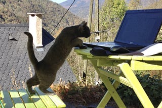 A black cat stands on a green garden chair and looks into a laptop on a green table. Wooded mountains and a tiled roof  are in the background.