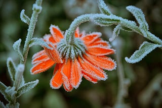 Defrosting the Chronicles of Chronic Stagnation