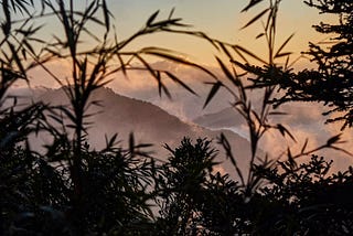 【山】人生首座百岳：奇萊南華 3358m 後記