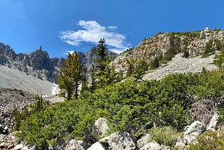 Wrapping Up Great Basin National Park