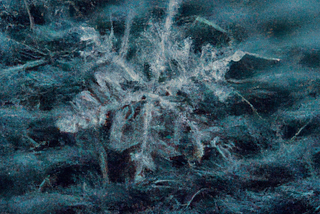 Snowflake: Unlocking Data’s Potential