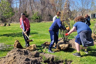 Patchogue residents plant roots for trees — and lives — in Arbor Day Ceremony