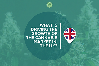 What is driving the growth of the cannabis market in the UK?