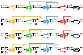 Imagine a world where cells operate like tiny, sophisticated computers, capable of processing…