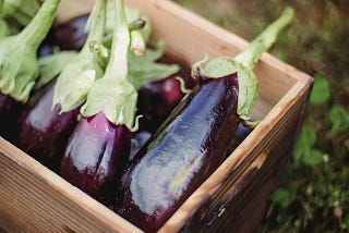 6 Delicious Italian Eggplant Dishes You Need to Make ASAP