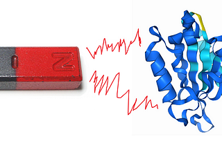 Researchers created a protein that responds to… magnetic fields
