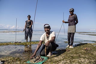 Three people stand on a shoreline, each wearing scuba diving masks perched on their foreheads, pose for a photo with a pile of mollusks they have collected laid out on a green towel.