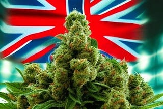 Image of cannabis plant and UK flag (created with Photoleap AI app, so they may own this; use of the app is not an endorsement; use at your discretion).