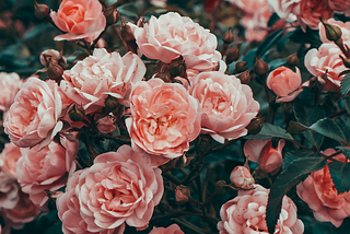 Tablescaping