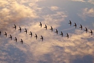 Migrating SQL in Drupal 8 with Migrate Tools and Migrate Plus