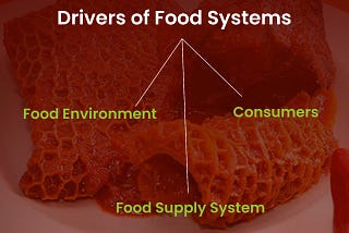 Drivers of food systems (Food environment, consumers and food supply system).