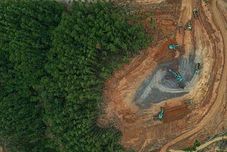 (Opini) Bencana Kehancuran Lingkungan ala Proyek Strategis Nasional Jokowi