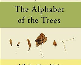 Front cover of “The Alphabet of the Trees” by Christian McEwen and Mark Statman. Features illustrations of brown dried leaves and seeds against a cream background.