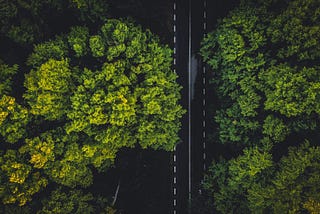 2025 Investment Outlook: The Convergence of Intelligent Technology and Sustainable Innovation