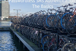 Passwordless SMS Authentication: The Basics