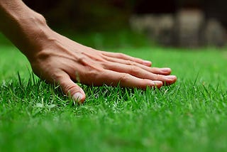 What My Lawn-Care Provider Reminded Me About the Gospel