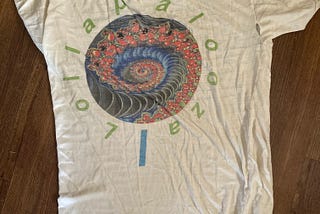 A Summer First: I Saw Lollapalooza In Its First Year